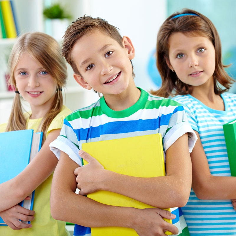 Streamline customized models